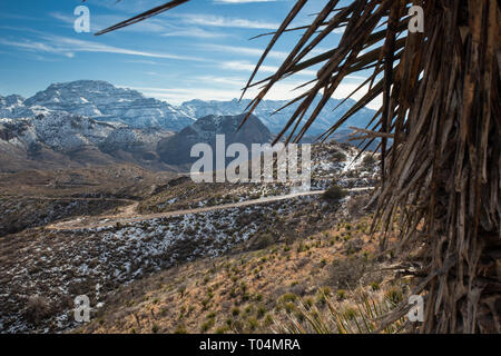 Pinto Canyon, Presidio County, Texas, Stati Uniti d'America Foto Stock