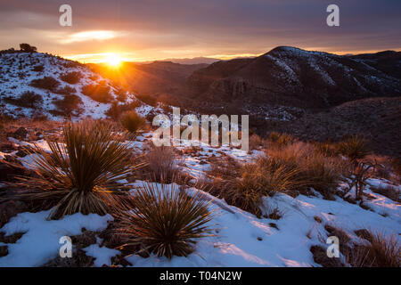 Pinto Canyon, Presidio County, Texas, Stati Uniti d'America Foto Stock