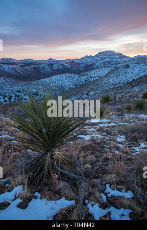 Pinto Canyon, Presidio County, Texas, Stati Uniti d'America Foto Stock