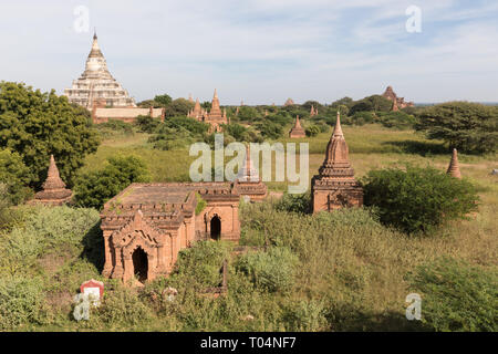Le persone che lavorano sul campo sulla parte anteriore dei templi e pagode storiche della zona archeologica di Bagan nella luce del sole della mattina. Myanmar (Birmania). Foto Stock