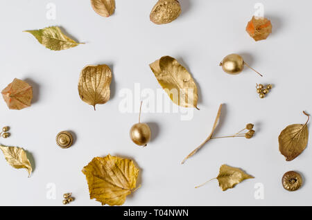 Oro brillante Foglie di autunno, mele selvatiche e physalis fiori su uno sfondo bianco. Bella cornice d'autunno. Vista superiore foto. Foto Stock