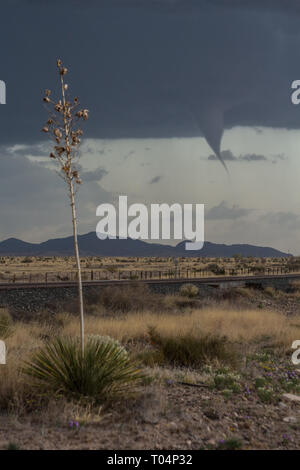 Marfa, Presidio County, Texas, Stati Uniti d'America Foto Stock