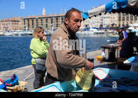 Mercato del Pesce, Vieux Port, il vecchio porto, Marsiglia, Bouches du Rhone, Provence Alpes Cote d Azur, in Francia, in Europa Foto Stock