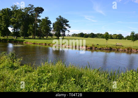 Fiume che scorre attraverso il parco di Hylands House e giardini, Writtle, Chelmsford Essex, Regno Unito Foto Stock