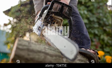 Immagine dell uomo con chainsaw segare log in foresta Foto Stock