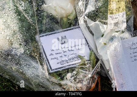 A seguito della Nuova Zelanda moschea tiri in Christchurch da attentati Brenton Tarrant persone nel Regno Unito sono state la posa di fiori a Hyde Park Corner Foto Stock