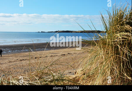 Guardando attraverso Newborough spiaggia verso Llanddwyn Island. Questa spiaggia è una delle più lunghe spiagge di sabbia su Anglesey nel Galles del Nord. Foto Stock