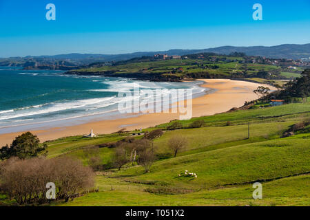 Prato di fresco verde erba. Oyambre beach, Comillas. Mare Cantabrico. Cantabria spagna. Europa Foto Stock