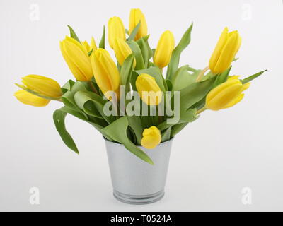 Bouquet di tulipani gialli nel secchio isolato su bianco Foto Stock