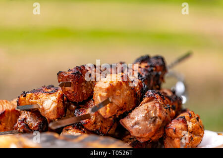 La carne su spiedini arrostite su un fuoco aperto close-up Foto Stock