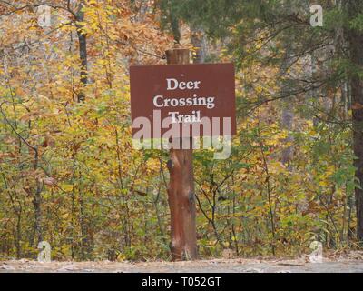 Cartello sul ciglio della strada in un parco statale per cervi sentiero di attraversamento Talimena scenic drive, Oklahoma Foto Stock