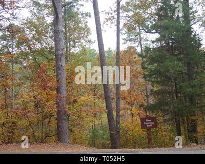 Foresta colorati in autunno con un cartello stradale per avvertire tutti di un cervo attraversando il sentiero . Talimena scenic drive, Oklahoma Foto Stock