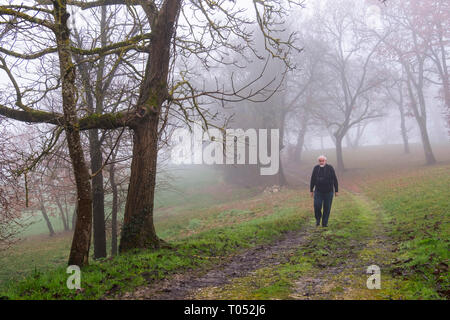 Uomo che cammina nella nebbia. Inverno mattina a casa rurale. Gers, Midi-Pirenei, Francia. Europa Foto Stock