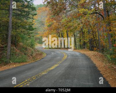 Strada tortuosa in un parco statale costeggiato da alberi colorati in autunno Foto Stock