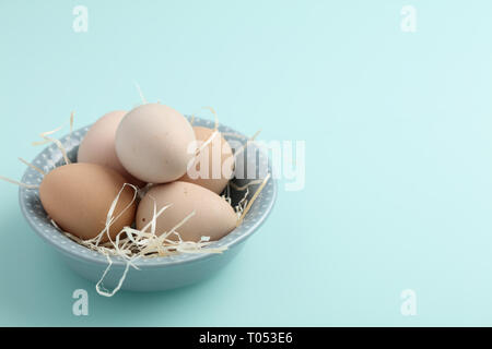 Faraona uova sul Duck egg sfondo blu Foto Stock