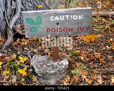 Segnale di avvertimento nel terreno con un sacco di poison ivy intorno Foto Stock