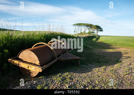 Una vecchia fattoria il rullo verso sinistra accanto a un campo hedge con un piccolo gruppo di alberi in background in una giornata di sole, Aberdeenshire, Scozia Foto Stock