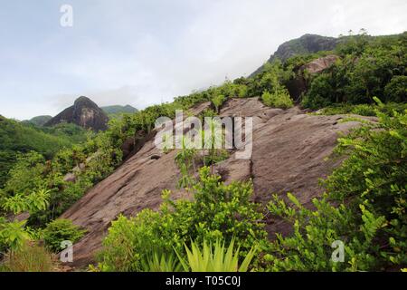 Paesaggio di montagna. Verde di alberi tropicali sui pendii della montagna. Foto Stock