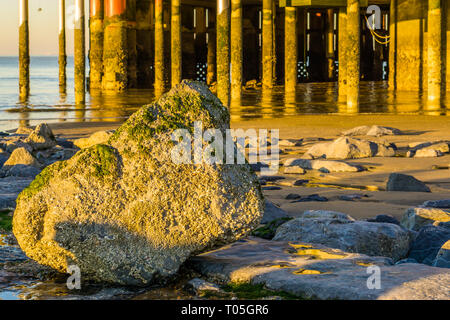 La pietra nelle alghe marine sulla spiaggia con pontile polacchi in background, stagione estiva sullo sfondo Foto Stock