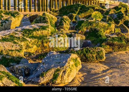 Fila di grandi dimensioni di una pila di rocce ricoperte di alghe sulla spiaggia, estate natura sfondo Foto Stock