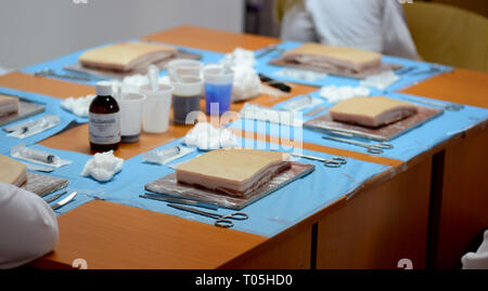 Scuola medica di setup di laboratorio per la chirurgia sulla carne di maiale Foto Stock