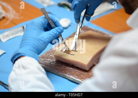 Medical School studente pratica di chirurgia su carne di maiale Foto Stock