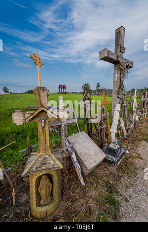 Croci di legno sul sito del pellegrinaggio chiamato Collina delle Croci, Lituania Foto Stock