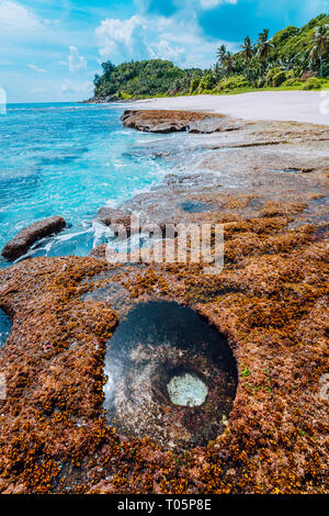 Paradise beach con rocce granitiche, palme, sabbia bianca e blu acqua chiara su una costa irregolare di Anse Bazarca, Seicelle Foto Stock