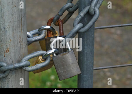 Close up look di quattro lucchetti in una catena su porta Foto Stock