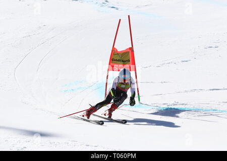 Grandvalira, Andorra. Il 17 marzo 2019. Michaela Shiffrin (USA) sulle corse verso il basso per la sua esecuzione su le dame di slalom gigante in occasione della finale della Coppa del Mondo 2019 in Grandvalira . Credito: Sebastien Lapeyrere/Alamy Live News. Foto Stock