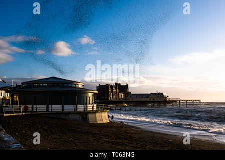 Aberystwyth, UK. Xvii Mar, 2019. Decine di migliaia di storni eseguire loro nightly coreografico murmurations nel cielo sopra Aberystwyth come la giornata volge alla fine. Gli uccelli migratori sono prossimi alla fine del loro soggiorno invernale e volerà presto spento per il ritorno al luogo di nidificazione in Scandinavia per l'estate. Aberystwythis uno dei pochi urban posatoi nel paese e attira gente da tutto il Regno Unito per testimoniare la spettacolare nightly visualizza tra ottobre e marzo. Credito: keith morris/Alamy Live News Foto Stock