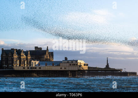 Aberystwyth, UK. Xvii Mar, 2019. Decine di migliaia di storni eseguire loro nightly coreografico murmurations nel cielo sopra Aberystwyth come la giornata volge alla fine. Gli uccelli migratori sono prossimi alla fine del loro soggiorno invernale e volerà presto spento per il ritorno al luogo di nidificazione in Scandinavia per l'estate. Aberystwythis uno dei pochi urban posatoi nel paese e attira gente da tutto il Regno Unito per testimoniare la spettacolare nightly visualizza tra ottobre e marzo. Credito: keith morris/Alamy Live News Foto Stock