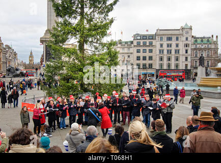 Londra Trafalgar square tempo di Natale con un albero dalla Norvegia e dal coro canti della folla Foto Stock