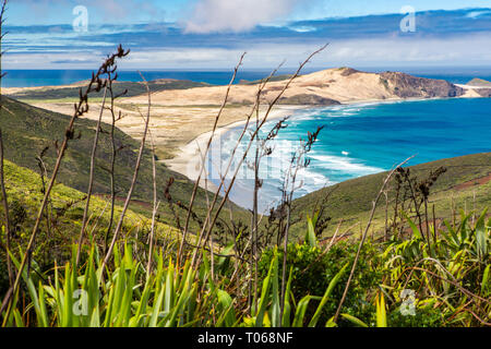 Faro di Cape Reinga, Nuova Zelanda Foto Stock