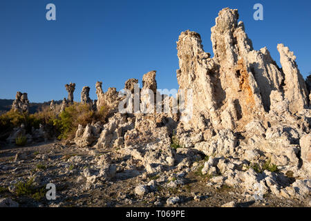 Una collezione di guglie di tufo con un profondo blu del cielo mattutino nel sud Area di tufo, Mono Lake, Mono County, California, America Foto Stock