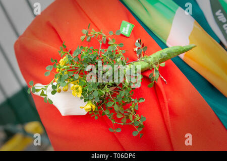 L annuale il giorno di San Patrizio Parade ha avuto luogo a partire dalle 10.30 di mattina dalla Irish Club in Orford Lane per 'il fiume della vita' in Bridge St Foto Stock