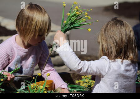 Due ragazze giovani disponendo fiori giocattolo in un pomeriggio soleggiato Foto Stock