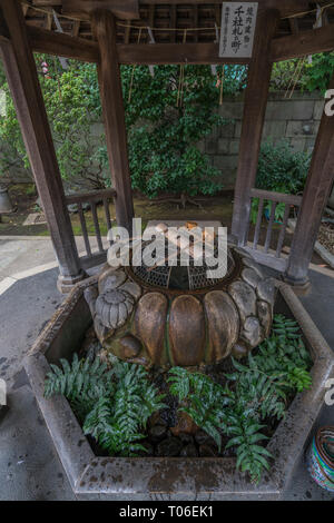 Taito-ku, Tokyo - Luglio 27, 2017: stile Rare Temizuya o Chozuya (luogo o pulire le mani) a Gojoten jinja santuario. Situato nel Parco di Ueno Foto Stock