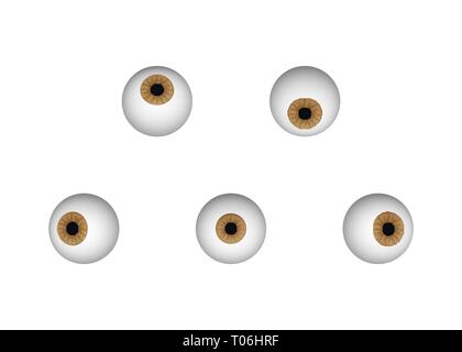 Un set di bulbi oculari. Brown occhio umano illustrazione vettoriale. Guardando a destra, giù, su, destra e sinistra. Illustrazione Vettoriale