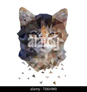 Triangolo cat. Colore illustrazione astratta. Illustrazione Vettoriale