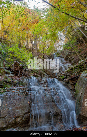 Cascata di acqua chiara nella foresta di autunno Foto Stock