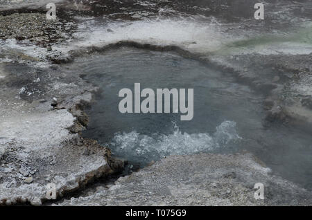 Acqua bollente, da hot springs, Orakei Korako Grotta e Parco Termale, Rotorua, Isola del nord, Nuova Zelanda Foto Stock