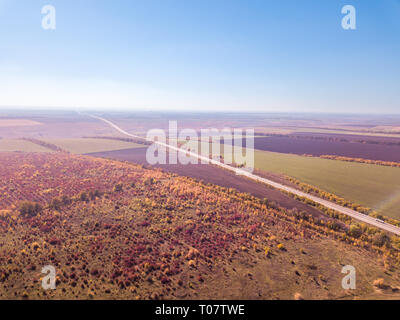 Paesaggio panoramico con infinite terreni agricoli e foreste e in autostrada in un periodo autunnale su uno sfondo di cielo chiaro. Vista aerea da fuco. Foto Stock