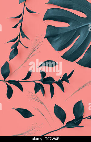 Motivo decorativo con foglie sempreverdi di monstera pianta su un coralli viventi colore di sfondo. Vista dall'alto. Foto Stock