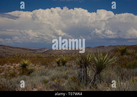 Spazio di colore nero, Brewster County, Texas, Stati Uniti d'America Foto Stock