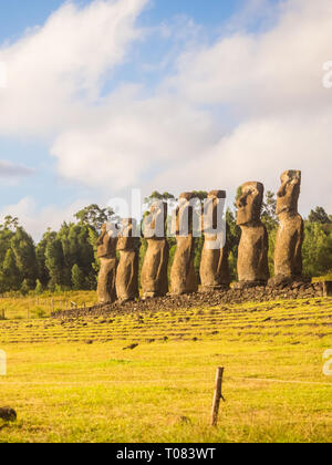 Sunset sette moai di Ahu Akivi, Isola di Pasqua, Cile Foto Stock