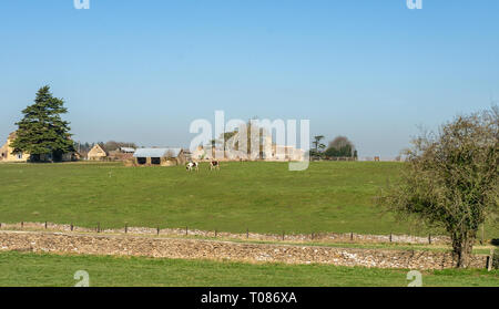 Vista del tipico paesaggio del Costwolds con St Arild la Chiesa in background, Oldbury-su-il-collina nei pressi del villaggio di Didmarton, Gloucestershire, Onu Foto Stock