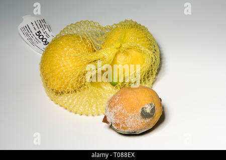 Verdorbene Lebensmittel, limone Foto Stock