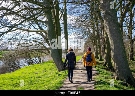 Passeggiata invernale sull'argine sopra il fiume Ouse Beningbrough, North Yorkshire, Regno Unito Foto Stock