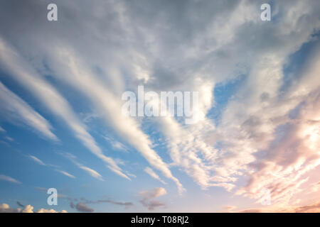 Cielo azzurro sfondo con piccolissima parentesi striped nubi in serata. Cancellazione di giorno e buon tempo ventoso Foto Stock